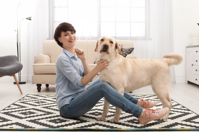 Photo of Adorable yellow labrador retriever with owner at home