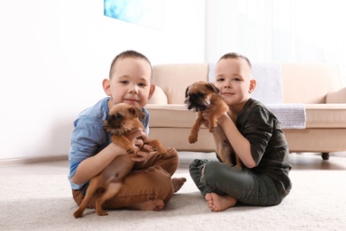 Portrait of cute boys with funny Brussels Griffon dogs at home. Loyal friends