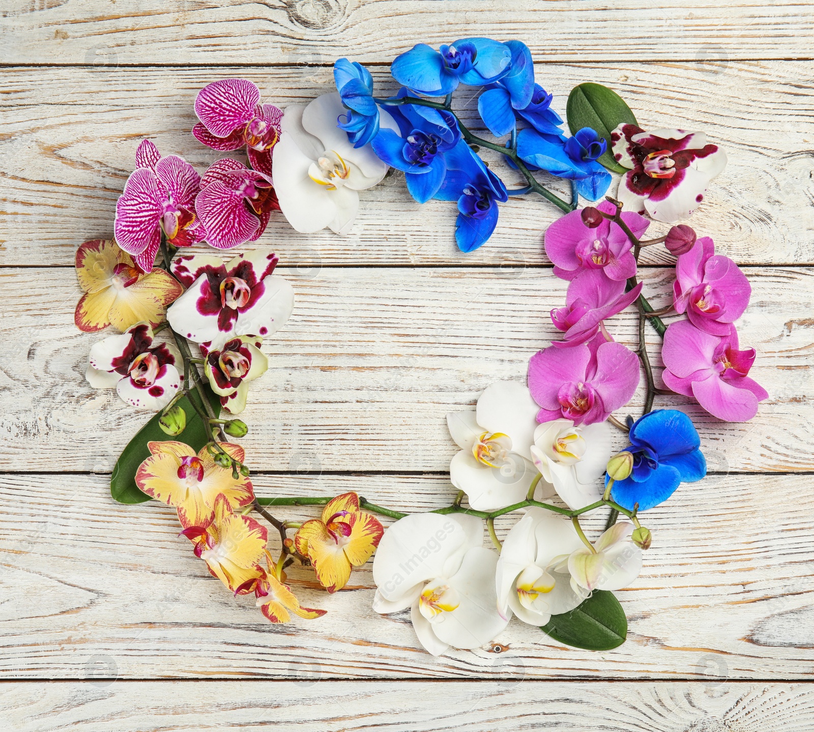 Photo of Beautiful tropical orchid flowers on white wooden background, top view. Space for text