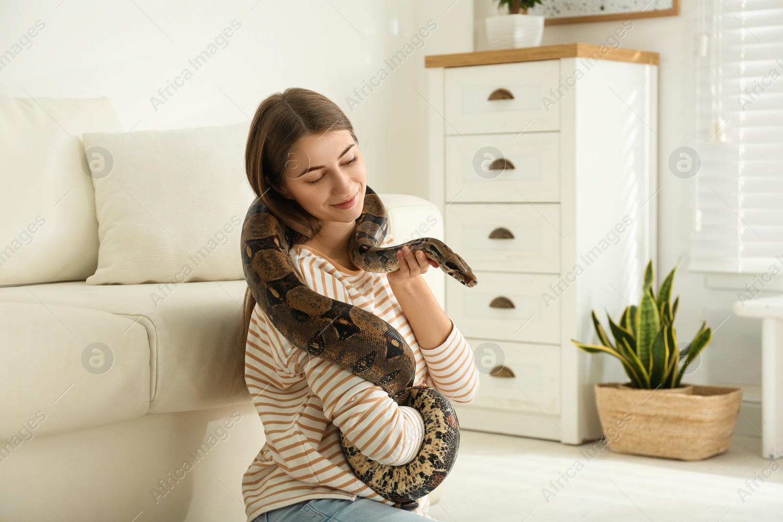 Photo of Young woman with boa constrictor at home. Exotic pet