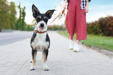 Photo of Woman walking her cute dog on city street, closeup
