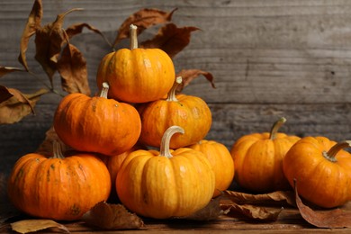 Thanksgiving day. Beautiful composition with pumpkins on table against wooden wall, space for text