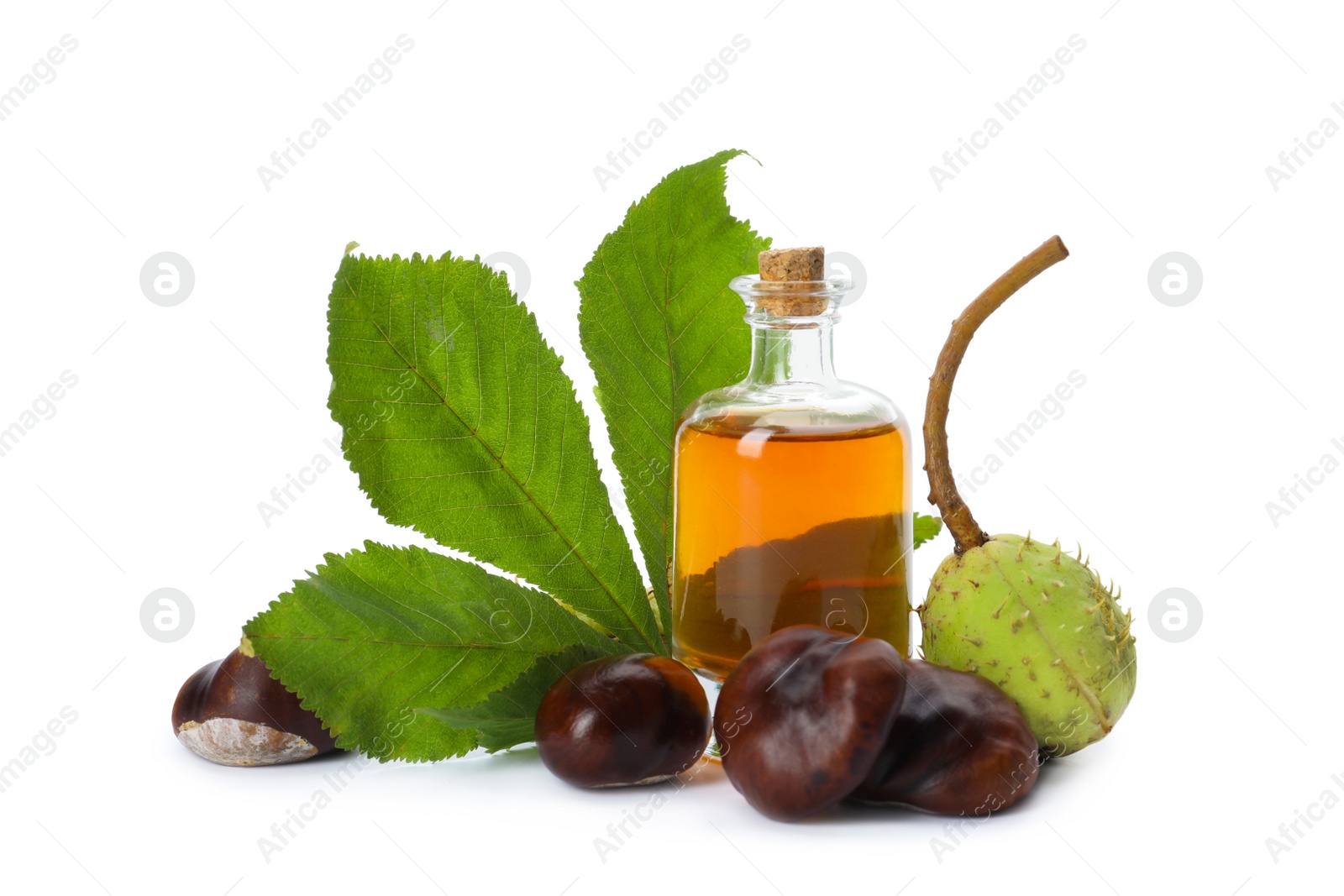 Photo of Horse chestnuts, bottle of tincture and green leaf on white background