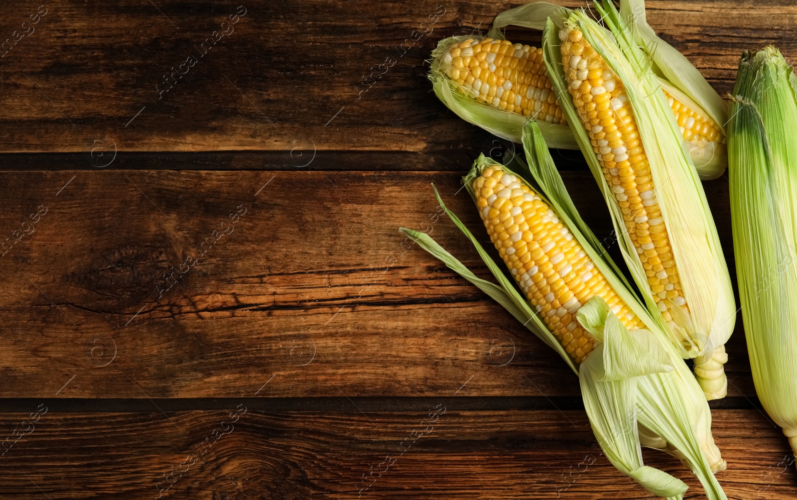 Photo of Tasty sweet corn cobs on wooden table, flat lay. Space for text