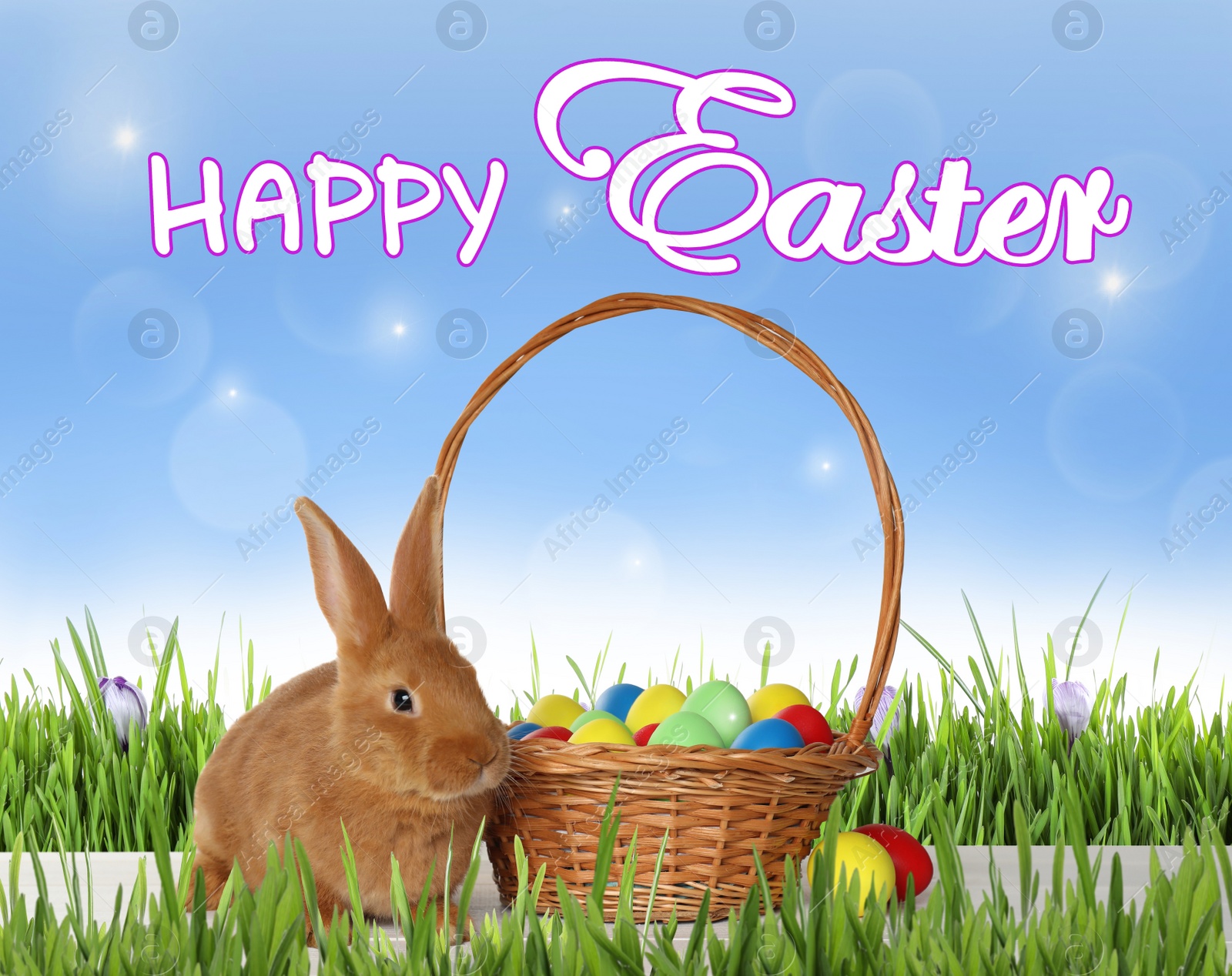 Image of Happy Easter. Adorable bunny near wicker basket with dyed eggs on green grass outdoors