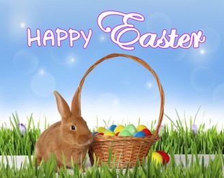 Image of Happy Easter. Adorable bunny near wicker basket with dyed eggs on green grass outdoors
