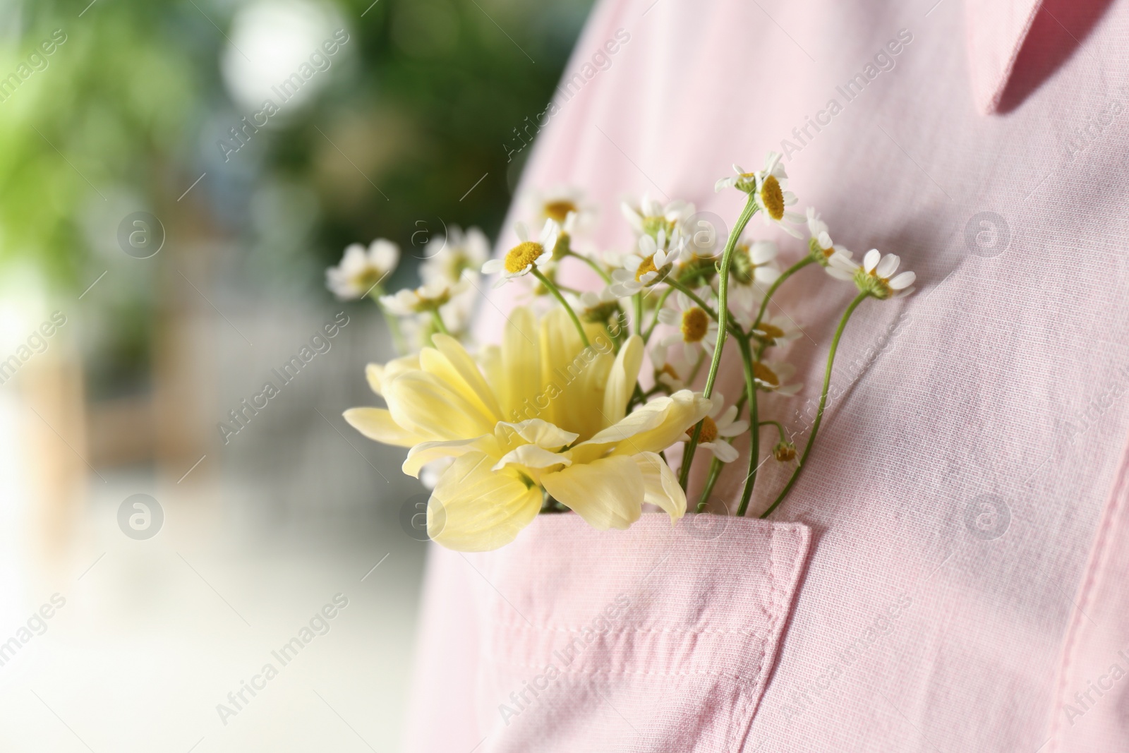 Photo of Woman with beautiful tender flowers in shirt's pocket, closeup