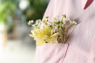 Photo of Woman with beautiful tender flowers in shirt's pocket, closeup