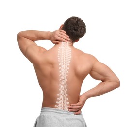 Muscular man on white background, back view. Illustration of spine