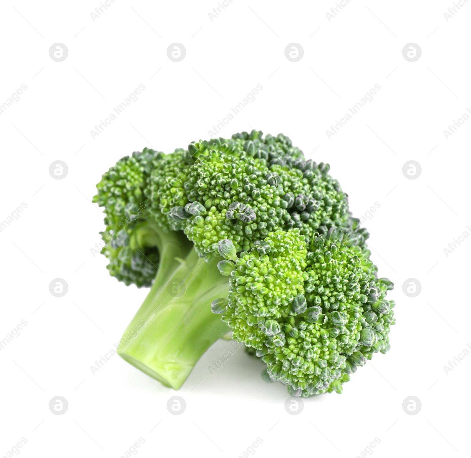 Photo of Fresh green raw broccoli on white background