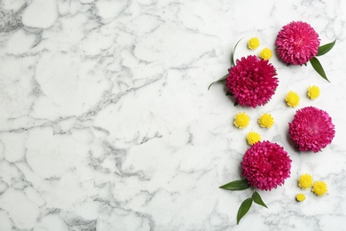 Photo of Beautiful asters and space for text on white marble background, flat lay. Autumn flowers