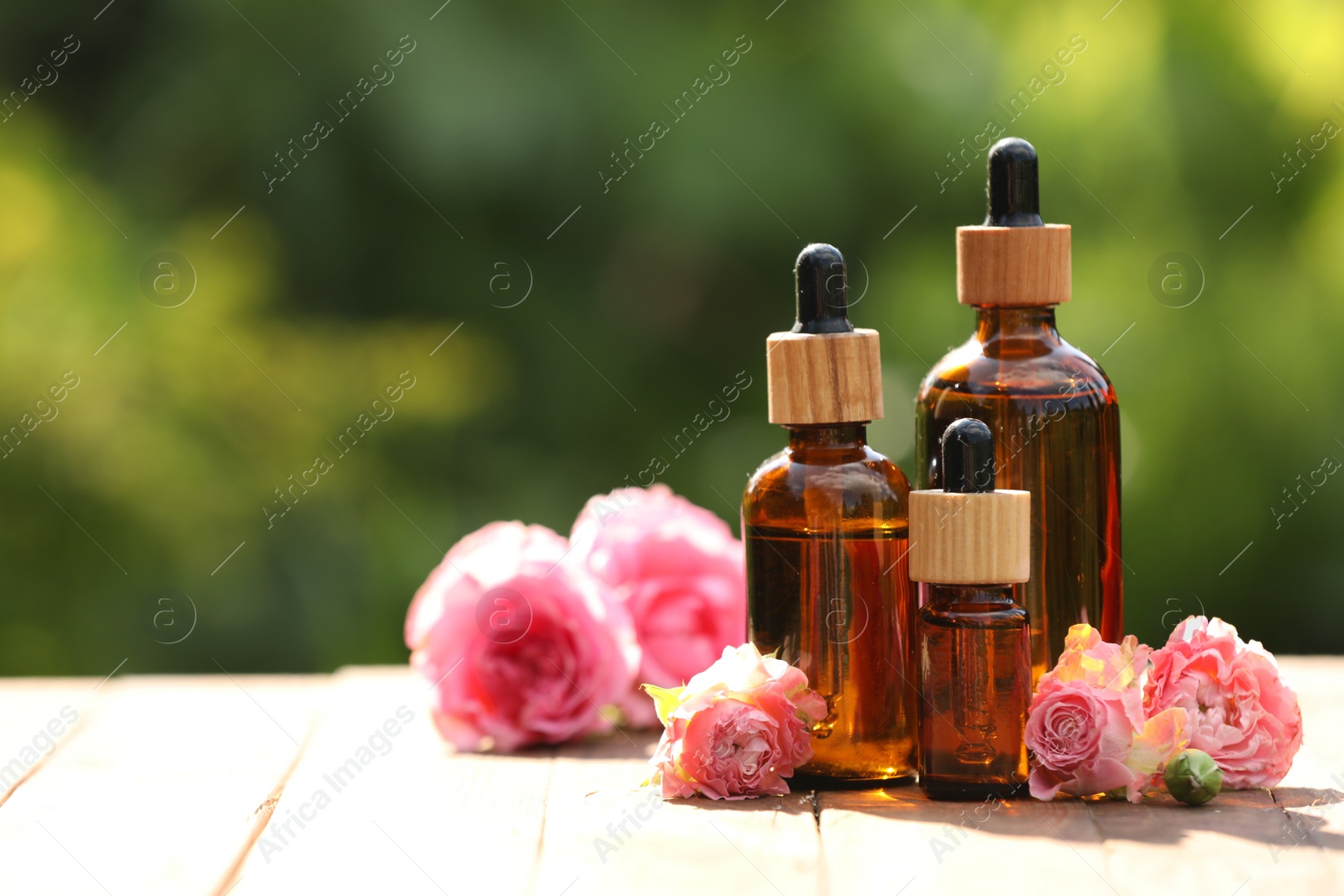 Photo of Bottles of rose essential oil and flowers on wooden table outdoors, space for text