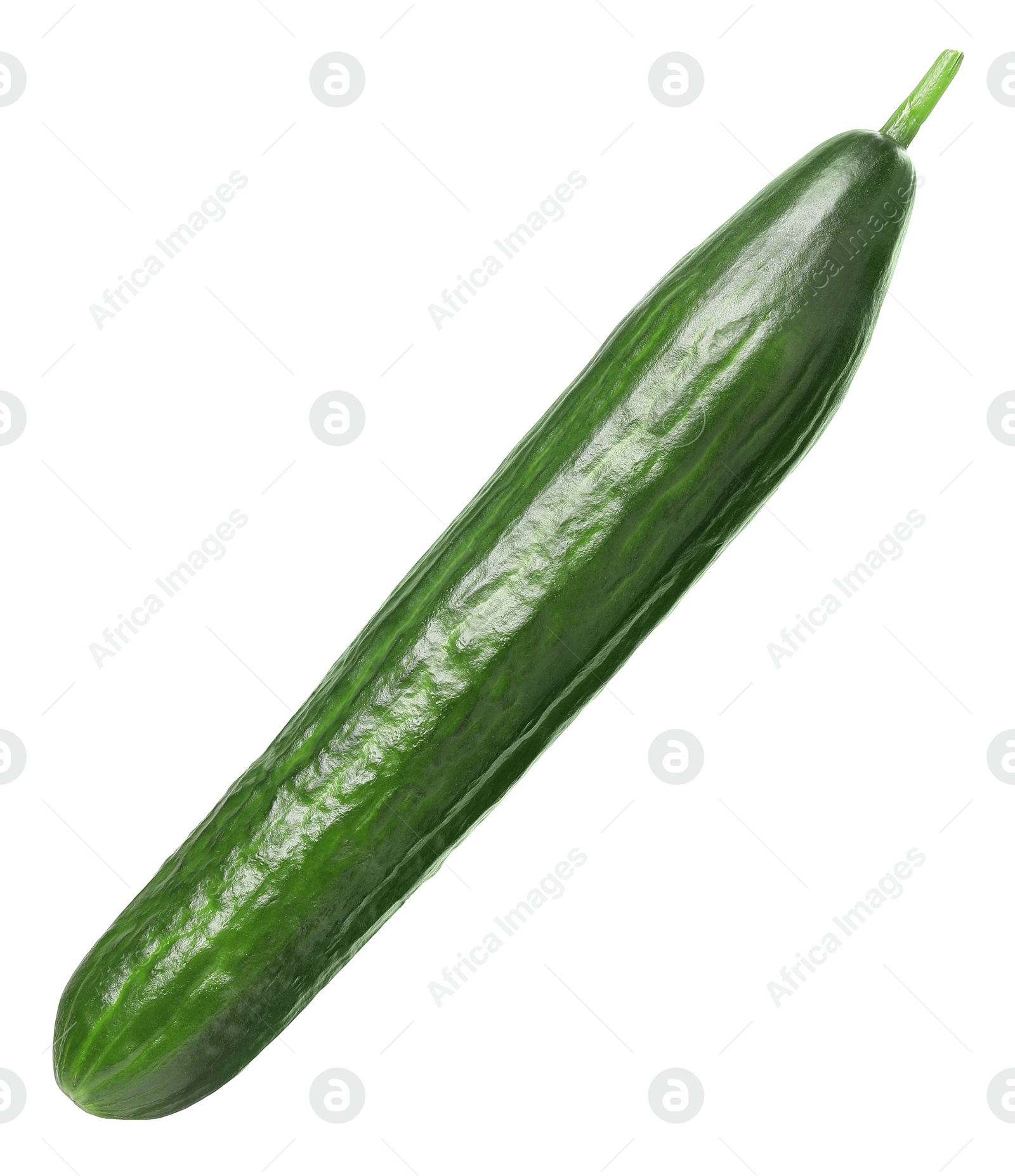 Photo of One long fresh cucumber isolated on white