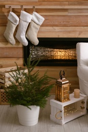 Potted fir trees and Christmas decorations in room with fireplace. Stylish interior design