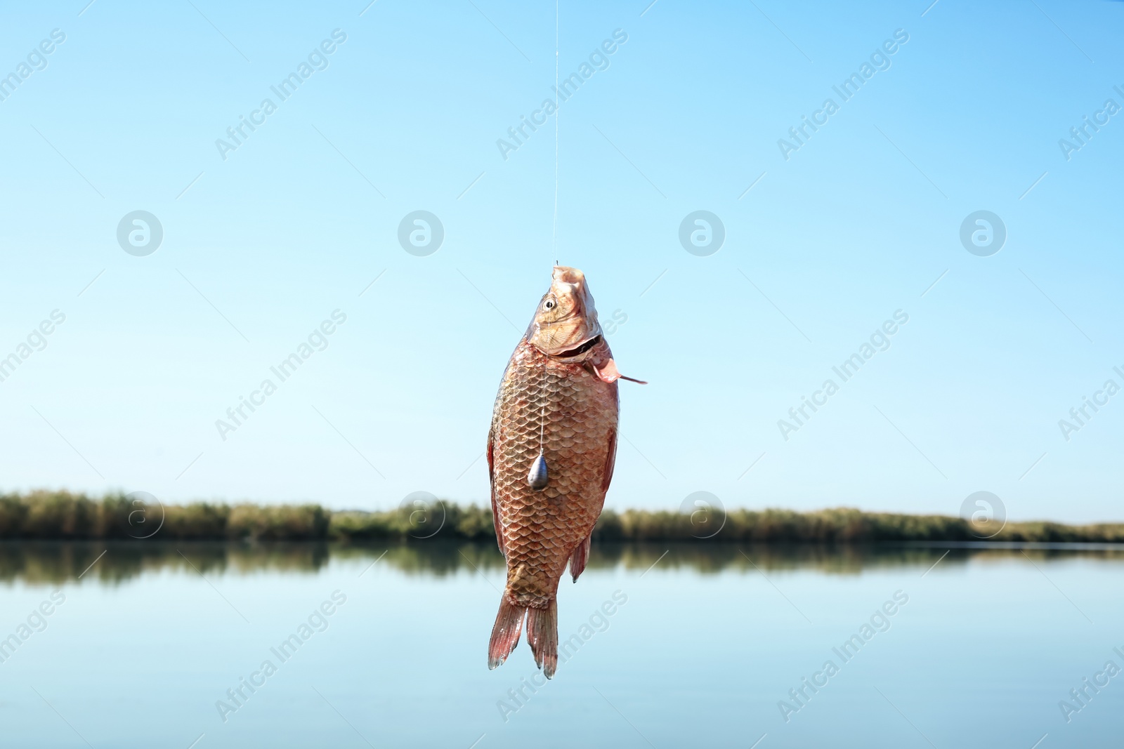 Photo of Catching fish on hook in river. Fishing day