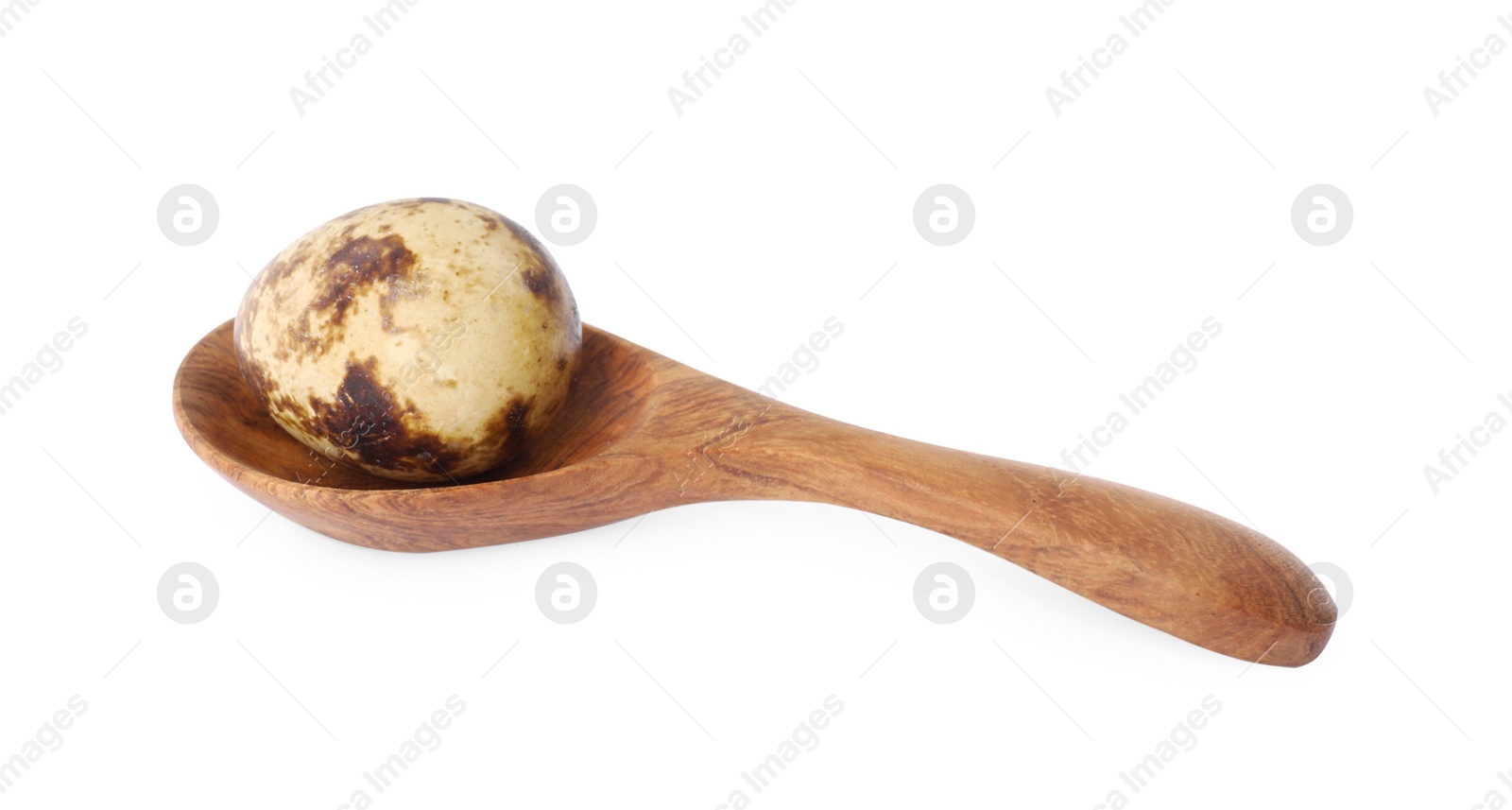 Photo of Wooden spoon with quail egg isolated on white