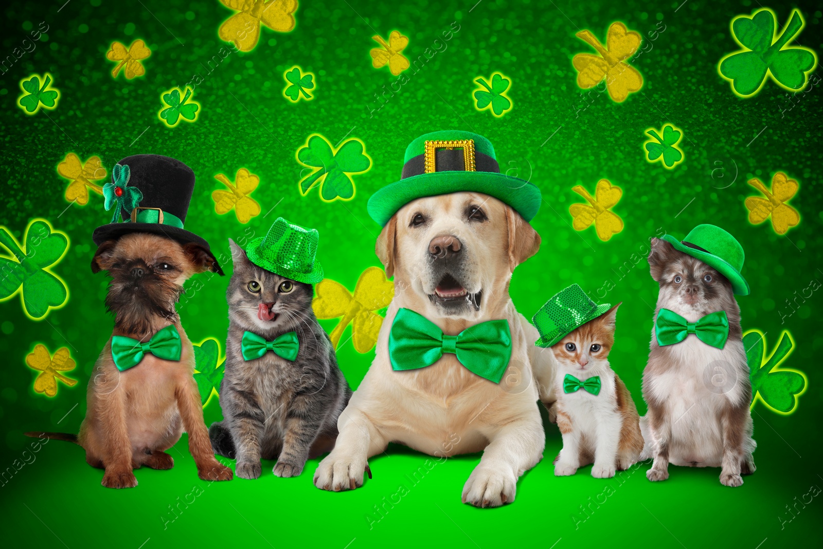 Image of St. Patrick's day celebration. Cute dogs and cats with festive accessories on green background