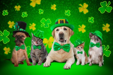 St. Patrick's day celebration. Cute dogs and cats with festive accessories on green background