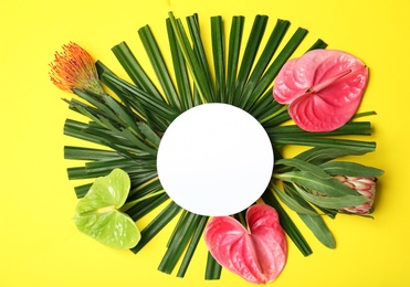 Photo of Creative flat lay composition with tropical leaves and anthurium flowers on yellow background