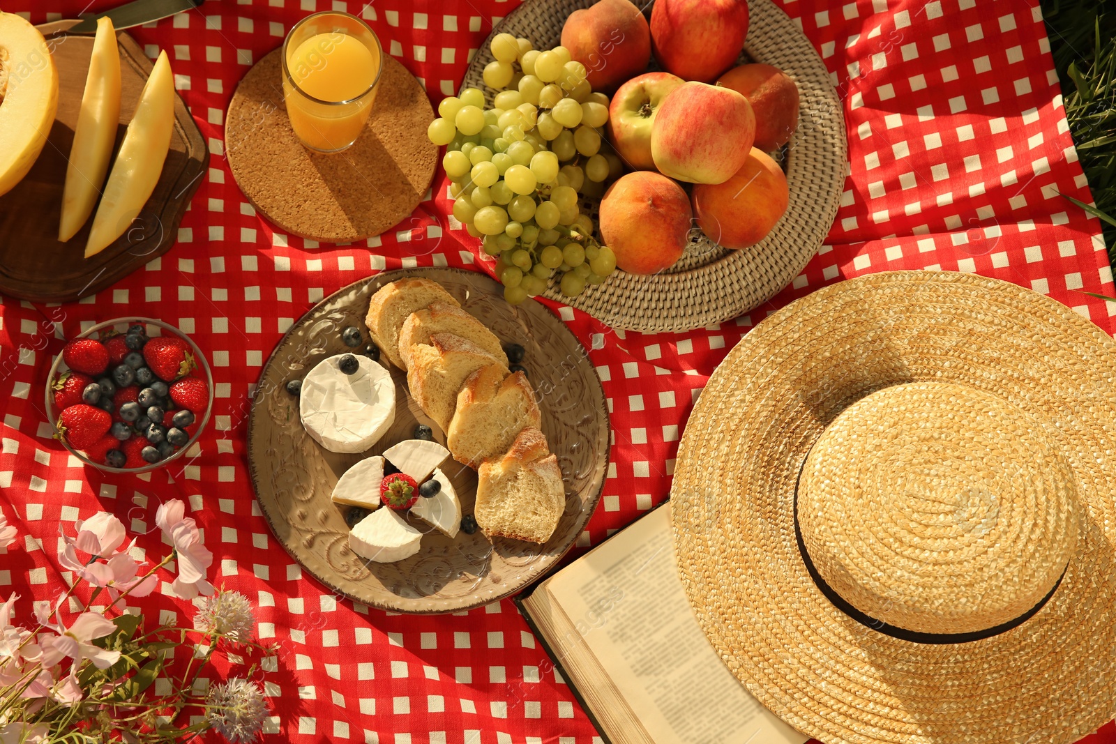 Photo of Picnic blanket with delicious food and juice, above view