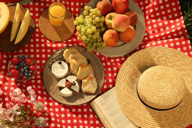 Picnic blanket with delicious food and juice, above view