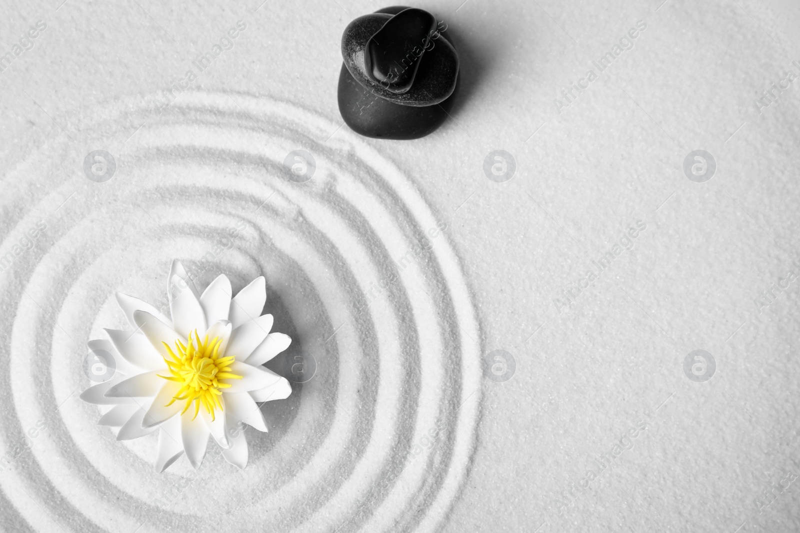 Photo of Zen garden. Beautiful lotus flower, stones and space for text on white sand, flat lay