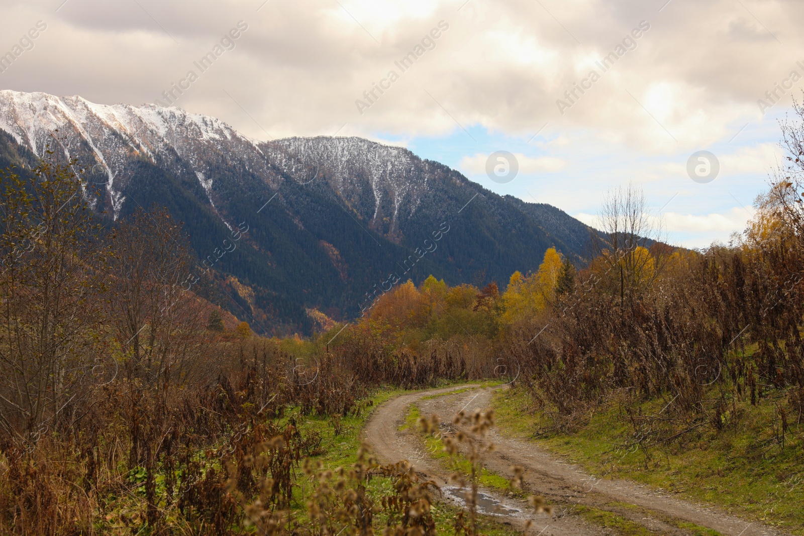 Photo of Picturesque view of pathway in beautiful mountains