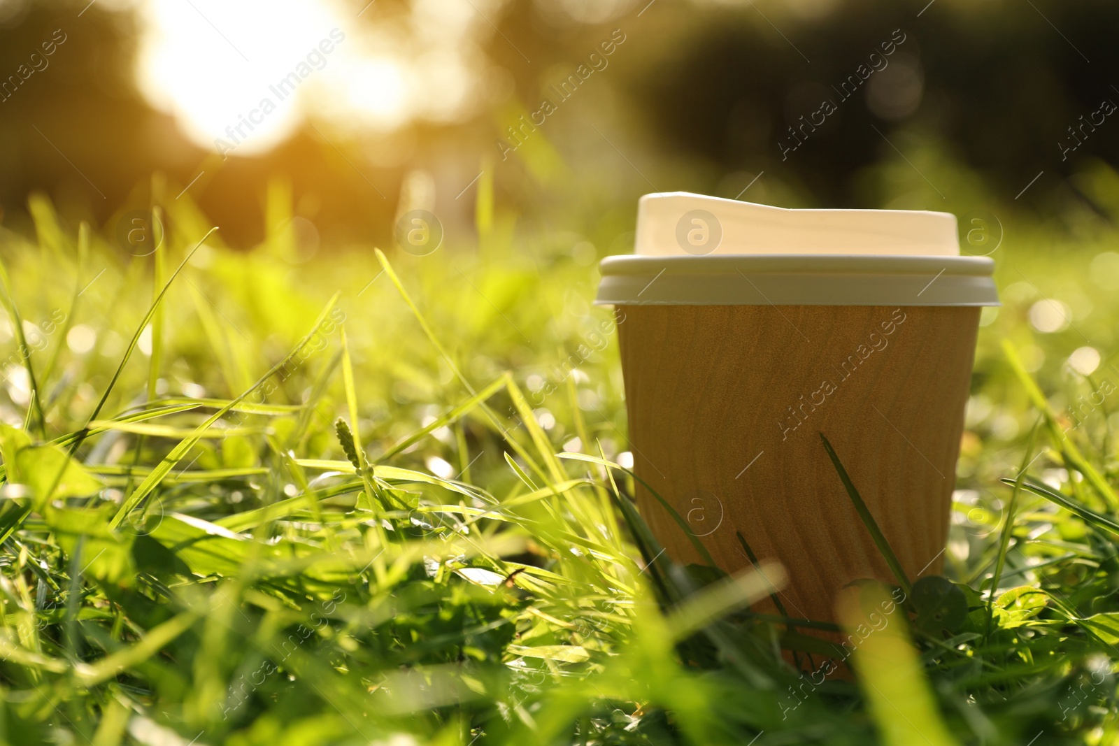 Photo of Paper cup on green grass outdoors, closeup with space for text. Coffee to go