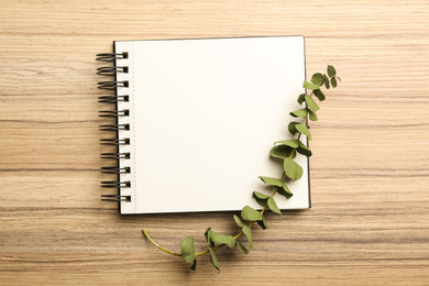 Photo of Stylish notebook and eucalyptus on wooden table, top view