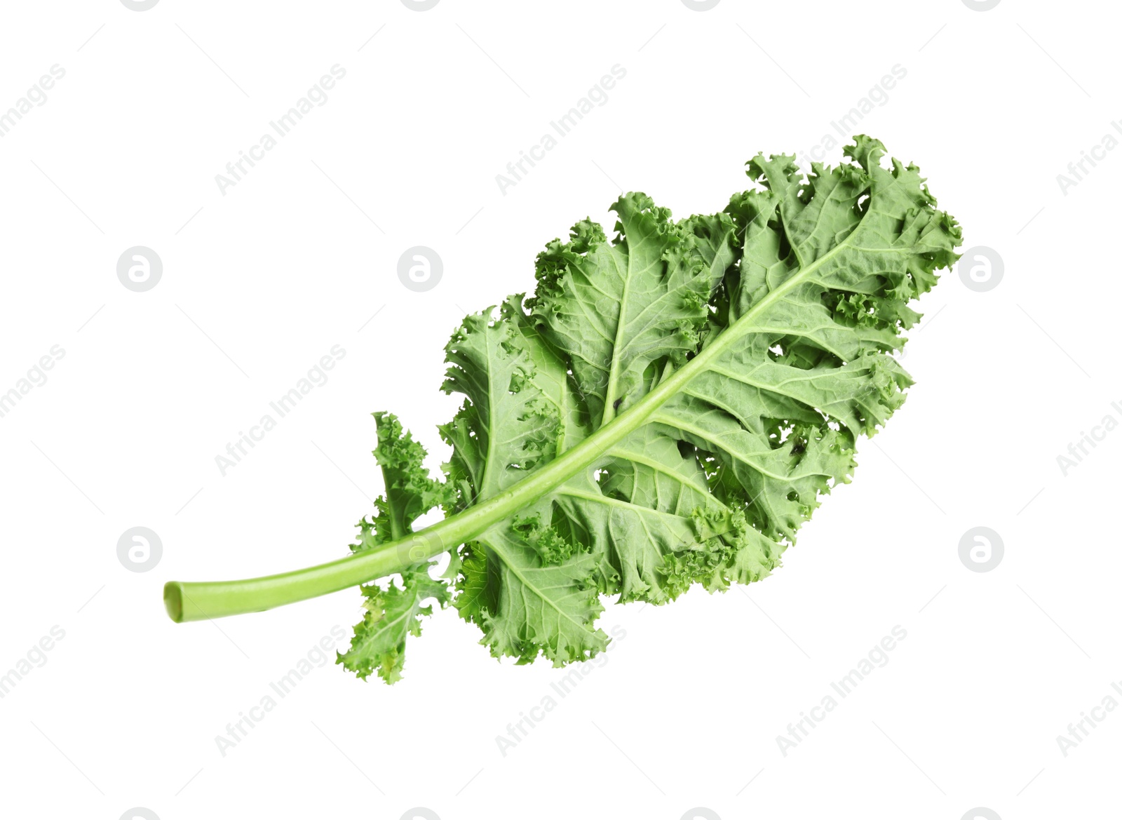 Photo of Fresh green kale leaf isolated on white