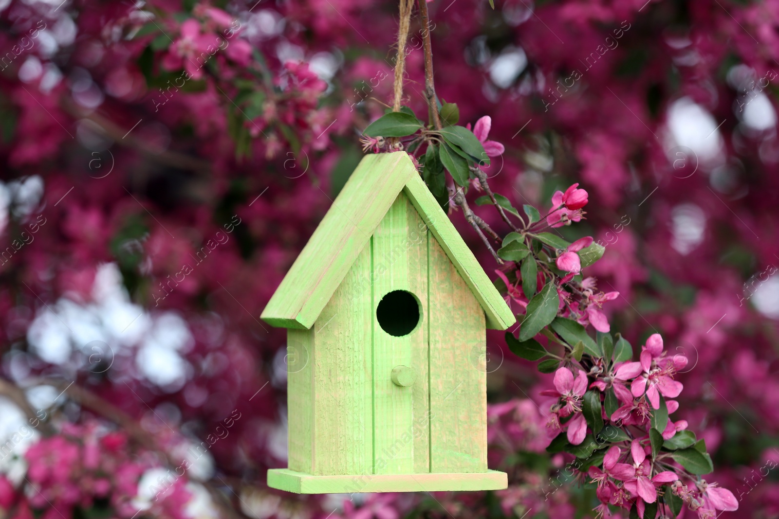 Photo of Wooden bird house on blossoming tree outdoors