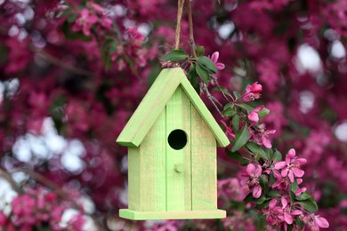 Wooden bird house on blossoming tree outdoors
