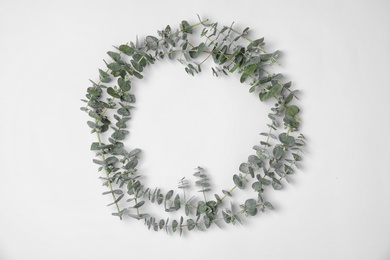 Fresh eucalyptus leaves on white background, top view