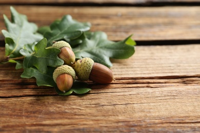 Photo of Oak branch with green leaves and acorns on wooden table. Space for text