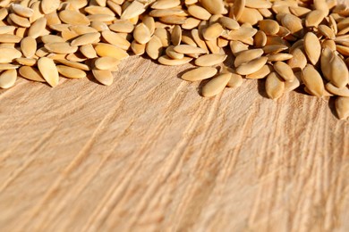 Photo of Pile of cucumber seeds on wooden background, closeup with space for text. Vegetable planting