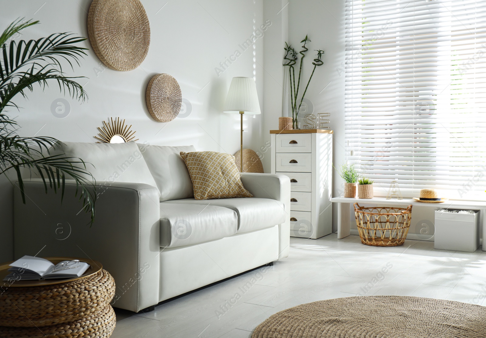 Photo of Beautiful tropical plants with lush leaves in stylish living room interior