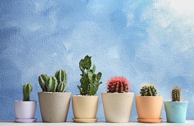 Photo of Beautiful cacti on color background