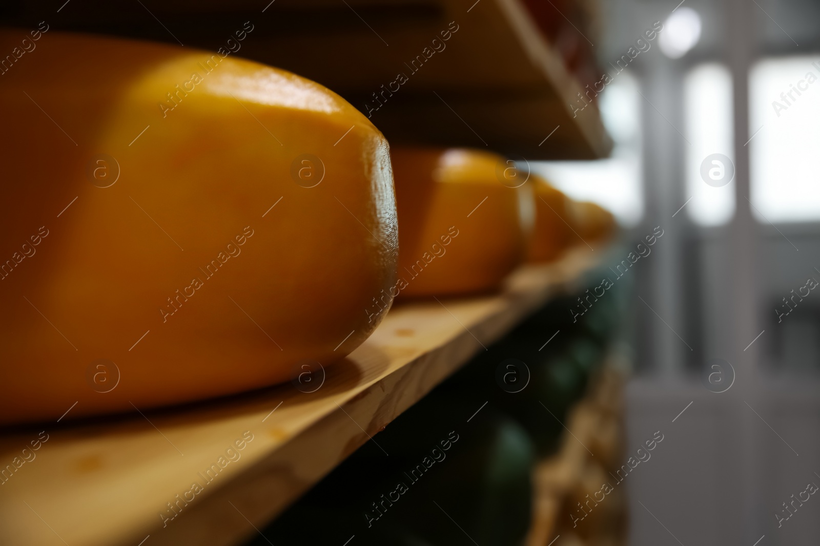 Photo of Fresh cheese heads on rack in factory warehouse, closeup. Space for text