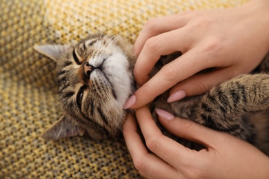Photo of Woman petting cute tabby cat at home, closeup
