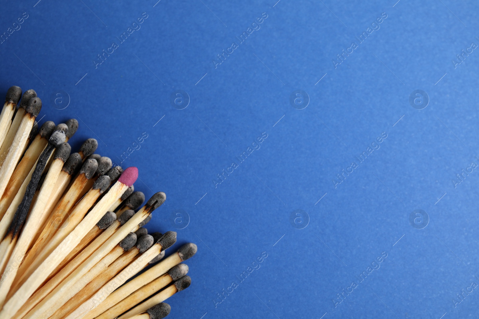 Photo of Heap of burnt matches and whole one on blue background, flat lay. Space for text