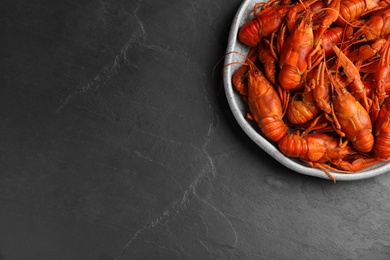 Delicious boiled crayfishes on black table, top view. Space for text