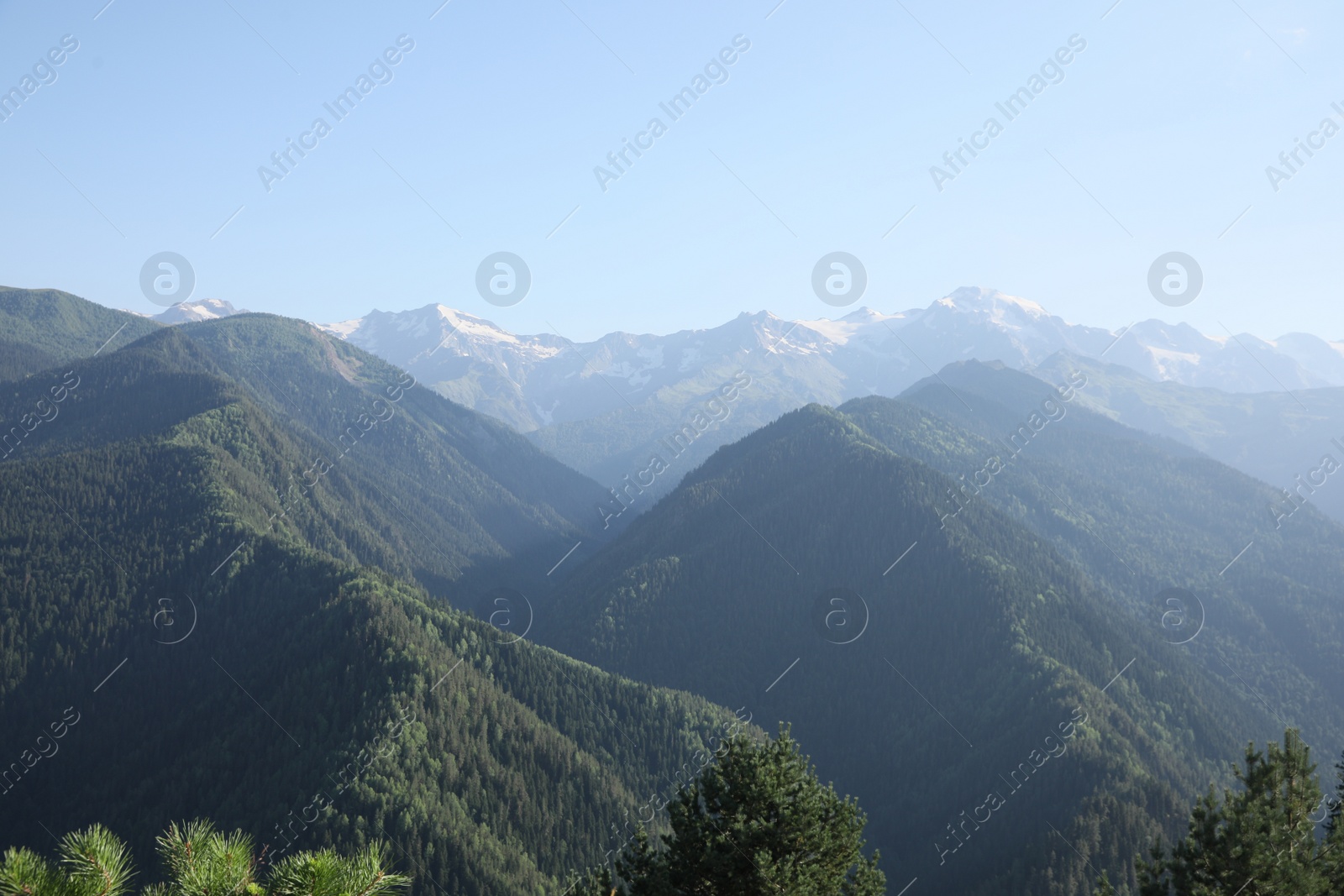 Photo of Aerial view of beautiful landscape with mountain forest on sunny day