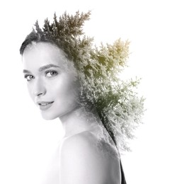 Image of Double exposure of beautiful woman and coniferous trees on white background, color toned