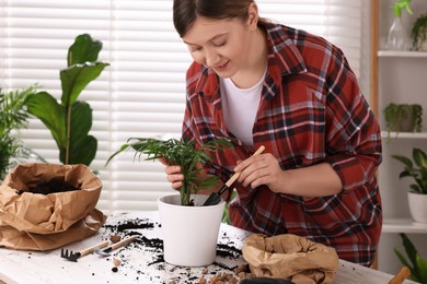 Woman transplanting houseplant at white table indoors