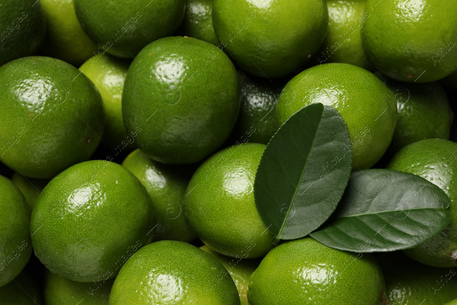 Photo of Fresh ripe limes and leaves as background, top view