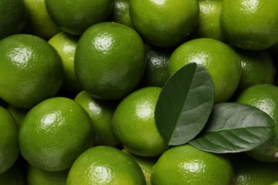 Fresh ripe limes and leaves as background, top view