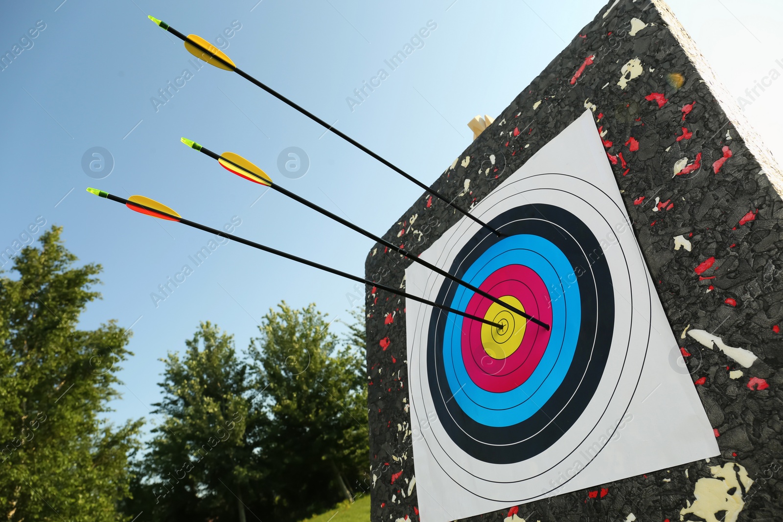 Photo of Arrows in archery target outdoors, closeup view