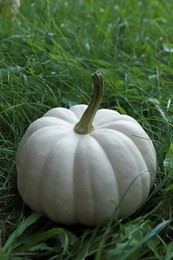 Photo of Whole white pumpkin among green grass outdoors