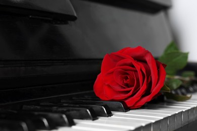 Beautiful red rose on piano keys, closeup. Space for text