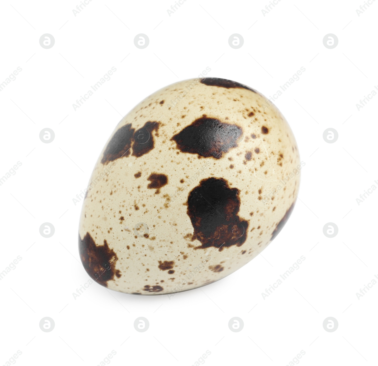 Photo of One beautiful quail egg isolated on white